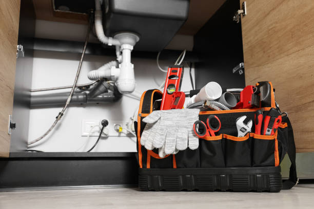 Best Emergency Plumbing Repair  in Riverview, MI