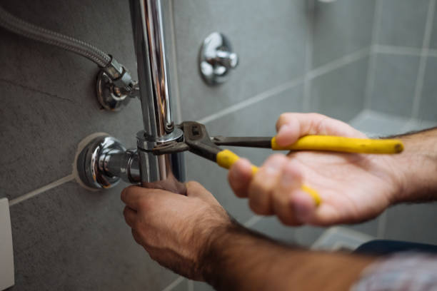 Best Sprinkler Systems  in Riverview, MI